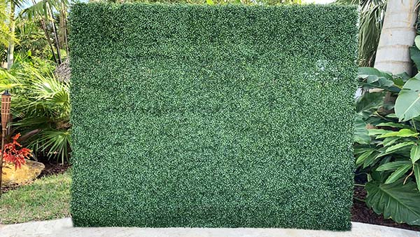 hedge wall 1920x1080 1